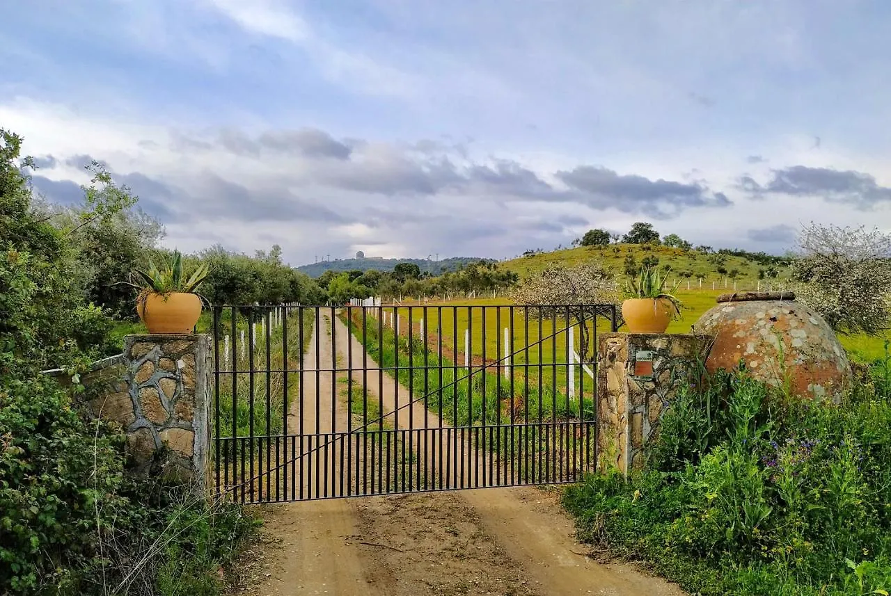 Finca La Palmera Constantina España